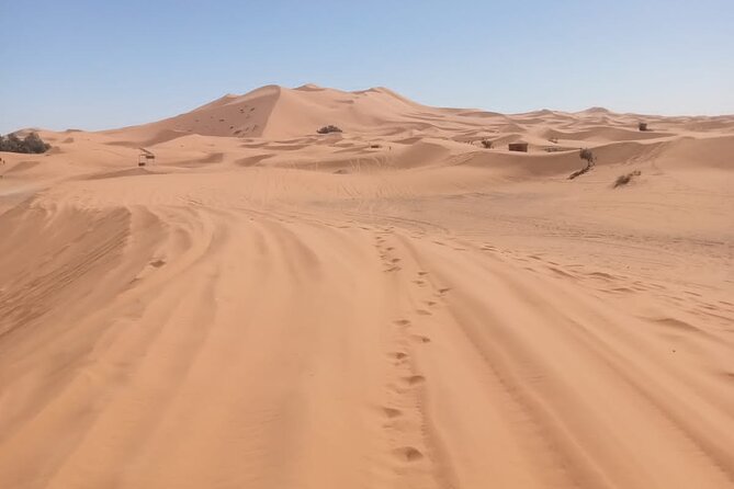 4WD Agadir Day Trip to Massa - Dunes, a camel ride, and the afternoon sunset