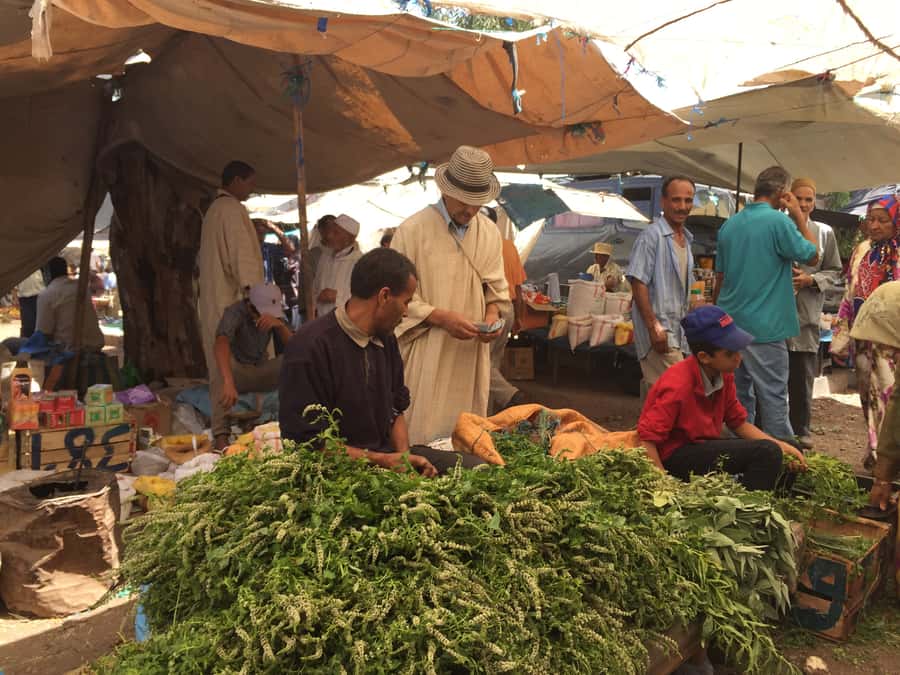 A Day With The Berbers - 3 Valleys Day Trip from Marrakech - Useful Details Before You Go