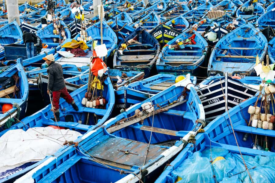 Agadir: Essaouira Guided Day Trip - The real cost of a day in Essaouira