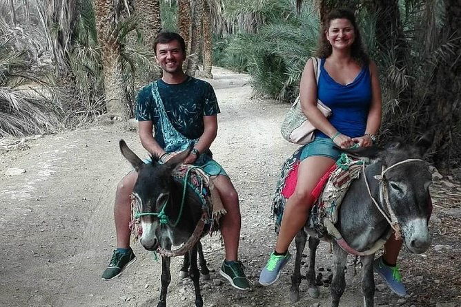Agadir Morocco: Day Trip To Taroudant & Tiout Oasis with Lunch - Key points to know before booking