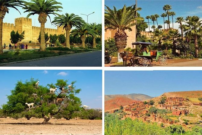 Agadir Morocco: Day Trip To Taroudant & Tiout Oasis with Lunch - Why this Agadir day trip is worth considering