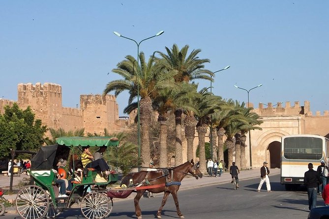 Agadir Morocco: Day Trip To Taroudant & Tiout Oasis with Lunch - How I would plan the day