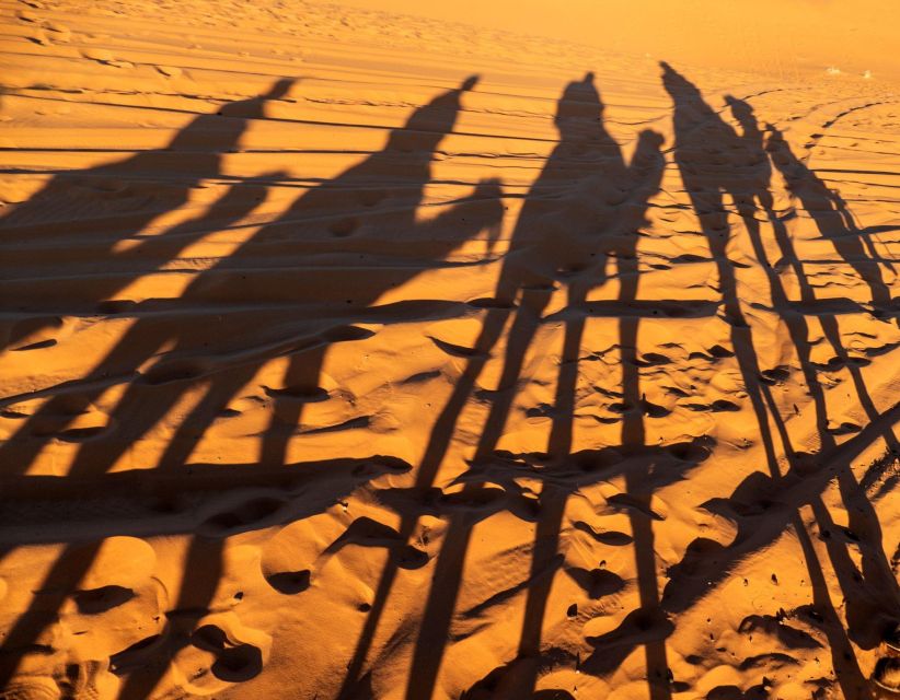 Agadir/Taghazout/Port: Sahara Desert 4x4 Day Trip with Lunch - What this Agadir day trip really covers