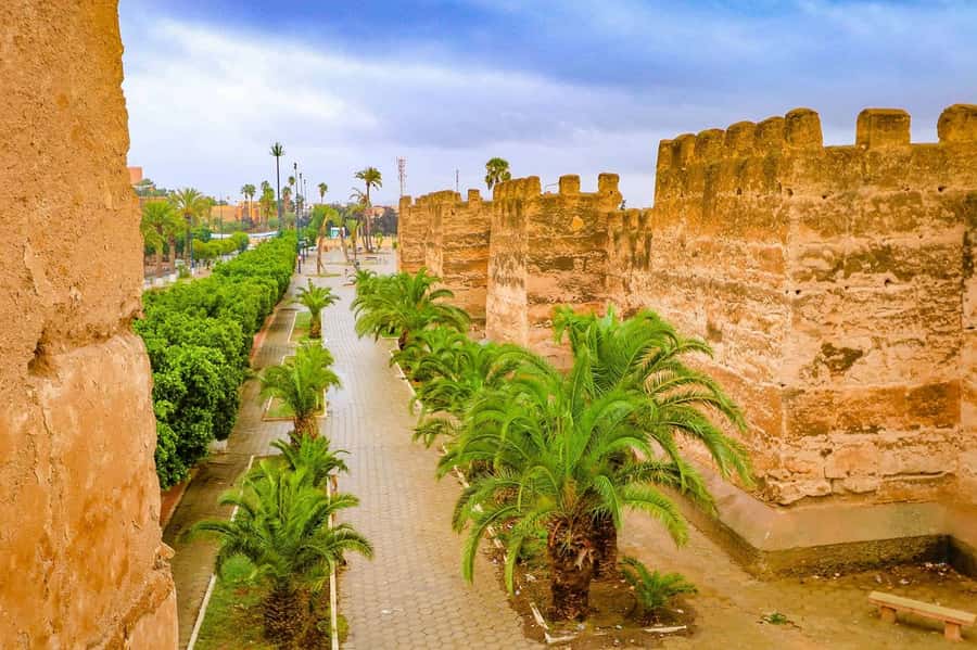 Agadir: Taroudant Oasis and Tiout Day Trip with Lunch Option - Taroudant souk: shopping with a clock running