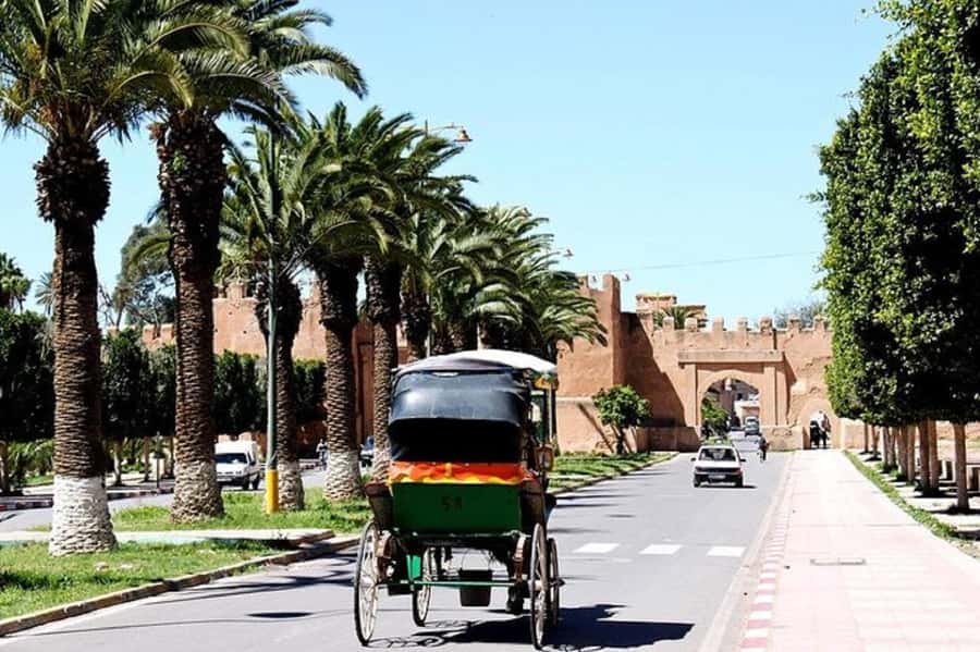Agadir: Taroudant Oasis and Tiout Day Trip with Lunch Option - Guides, drivers, and the value of the transport