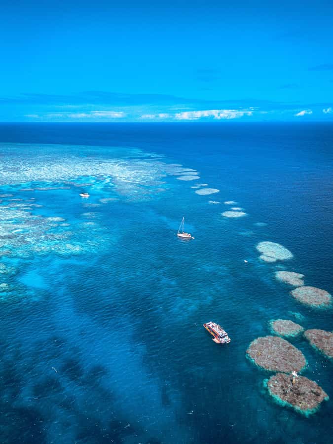 Airlie Beach: Outer Great Barrier Reef Snorkeling Day Trip - Lunch, Snacks, and Time Between Sessions