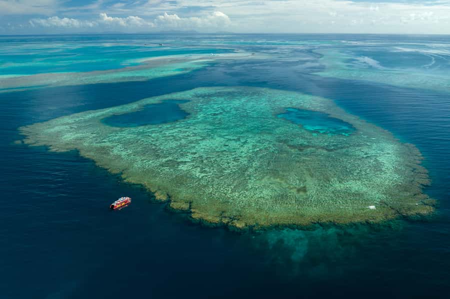 Airlie Beach: Outer Great Barrier Reef Snorkeling Day Trip - Small Details That Make the Day Easier