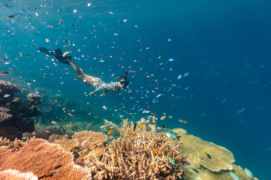 Airlie Beach: Outer Great Barrier Reef Snorkeling Day Trip - The Whitsunday Islands from the Top Deck