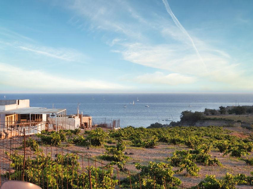 Akrotiri: Guided Horseback Riding Day Trip to a Beach - Quick take: what makes this ride special