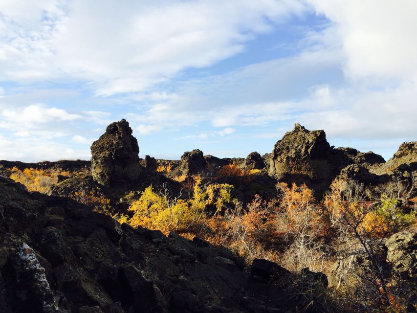 Akureyri Port: Lake Mývatn & Goðafoss Waterfall Day Trip - The return to Akureyri and the value of $179