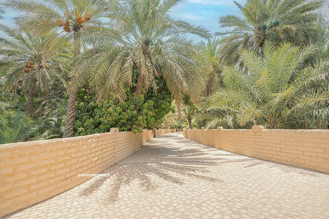 Al Ain Full Day Trip from Abu Dhabi with Lunch - Falaj channels and the Al Ain oasis