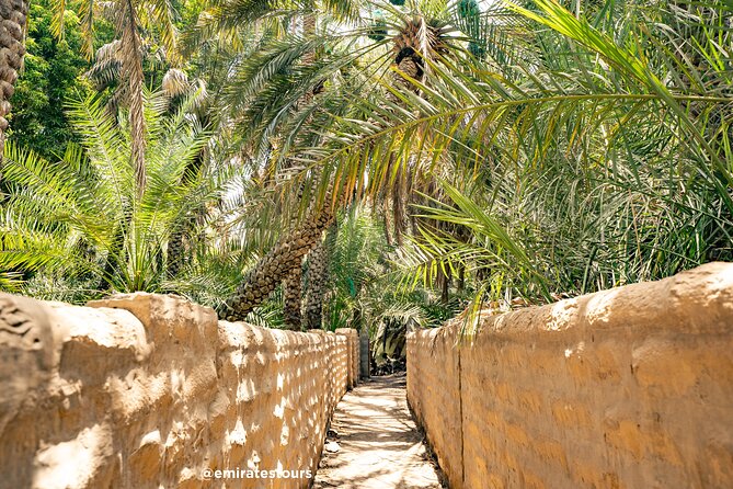 Al Ain Full Day Trip from Abu Dhabi with Lunch - The climb up Jebel Hafeet