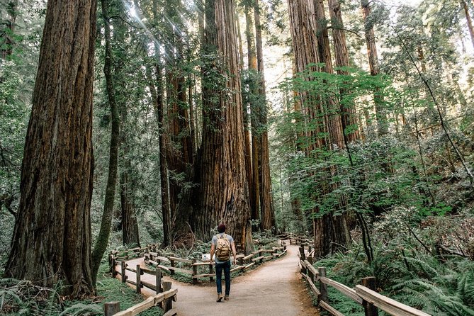 Alcatraz Tour Plus Muir Woods and Sausalito Day Trip - Why this San Francisco combination works