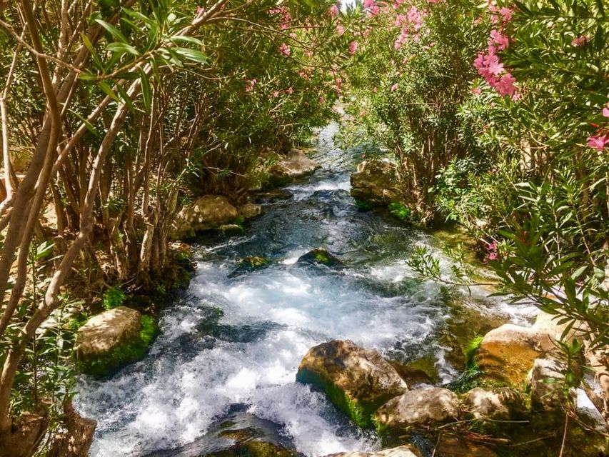 Algar Waterfalls Coach Trip - From Albir & Benidorm - Three hours to swim, walk, and take photographs