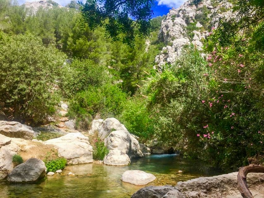 Algar Waterfalls Coach Trip - From Albir & Benidorm - Is $31 good value?