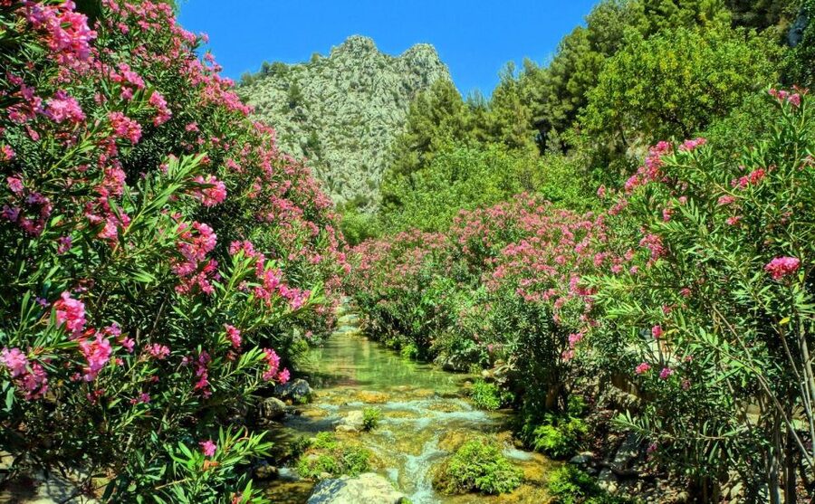 Algar Waterfalls Coach Trip - From Albir & Benidorm - Who should book this coach trip?