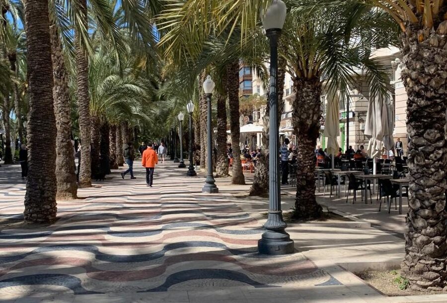 Alicante Discovery Tour - From Albir & Benidorm - Is $31 good value for this Alicante day trip?