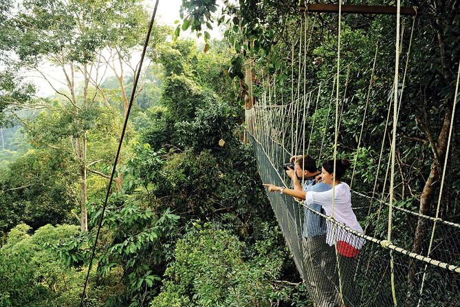 Amazing Taman Negara Day Trip from Kuala Lumpur Including Lunch - Why Taman Negara makes a worthwhile day trip