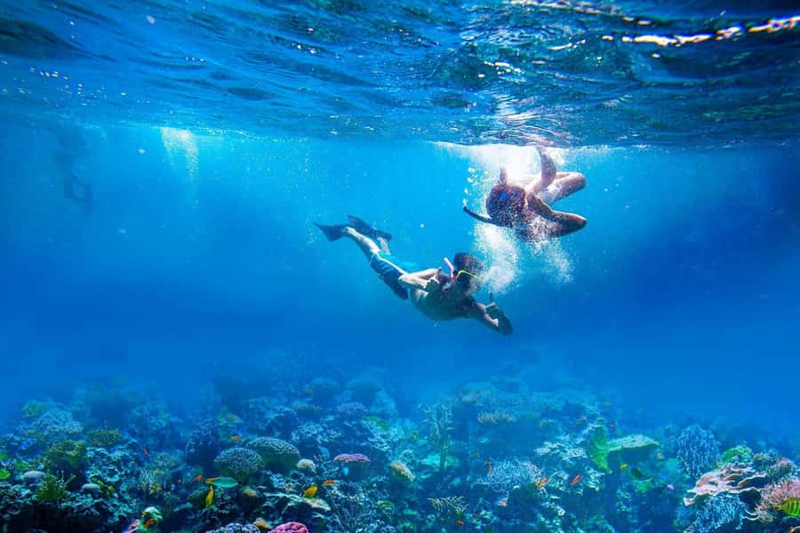 Amed: Tirta Gangga, Jemeluk Bay, & Virgin Beach Day Trip - Key points to know before booking
