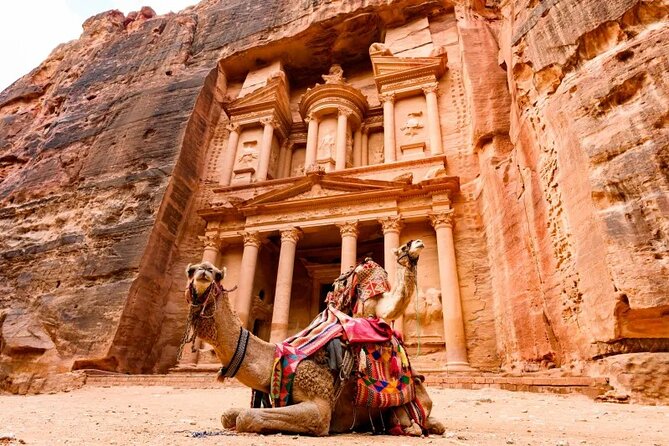 Amman Petra Full-Day Trip - What the private driver adds