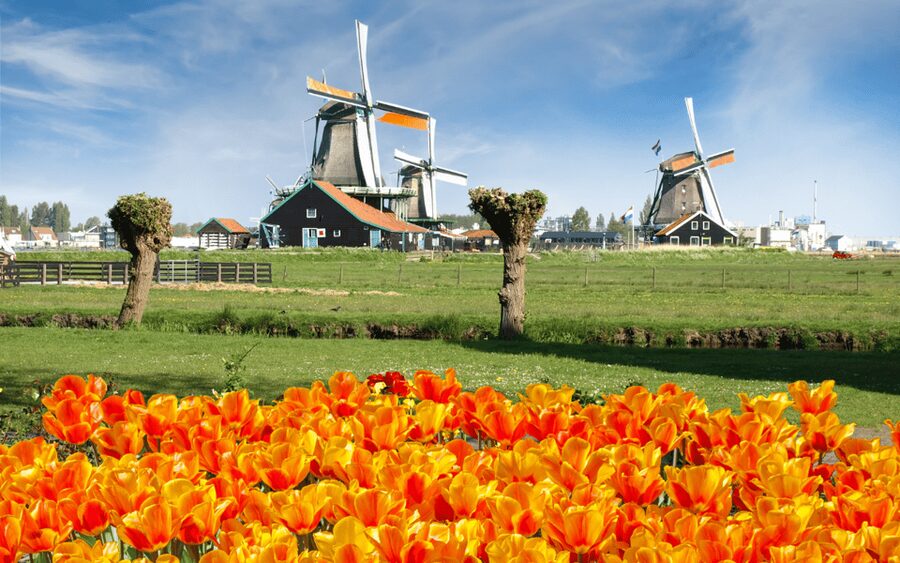 Amsterdam: Day Tour Keukenhof and Zaanse Schans Windmills - Zaanse Schans: windmills, workshops, and a little extra spending