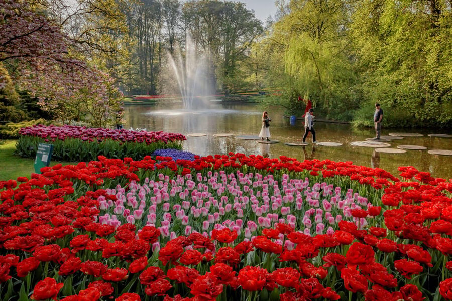 Amsterdam: Day Tour Keukenhof and Zaanse Schans Windmills - Who should book this experience?