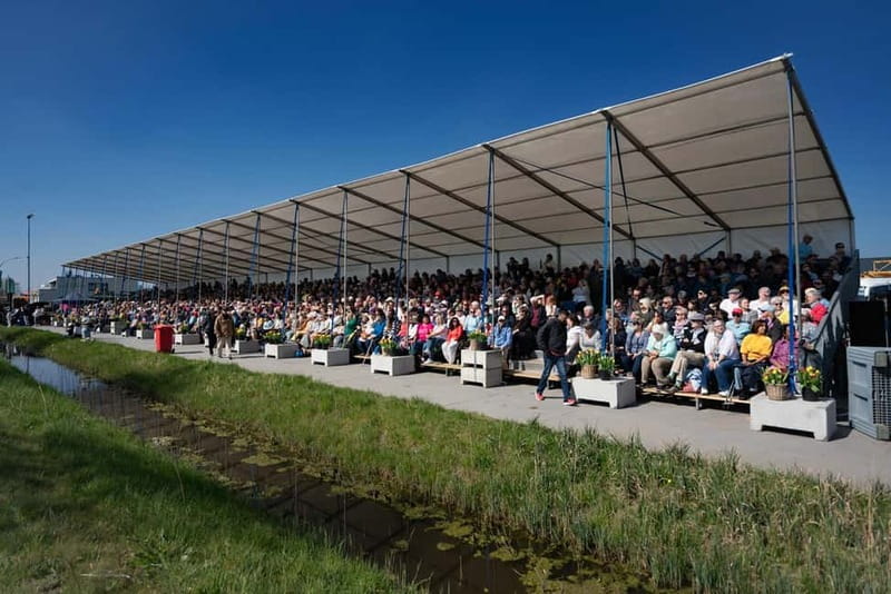Amsterdam: Day Trip to Flower Parade & Keukenhof on April 18 - Why the Flower Parade makes this day special