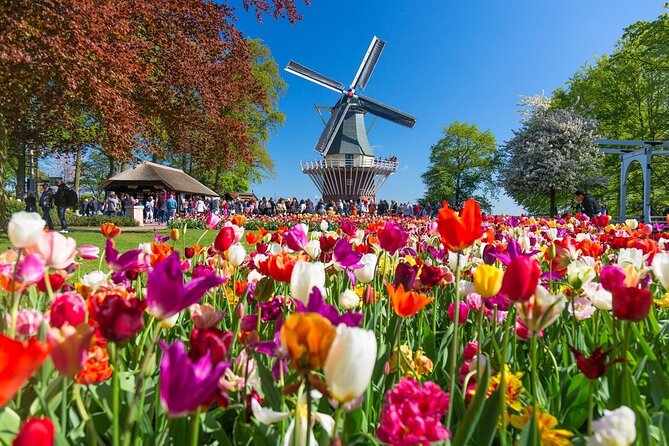 Amsterdam: Day trip to Tulip Farm, Keukenhof + Windmill Cruise - Timing, group size, and the day’s rhythm