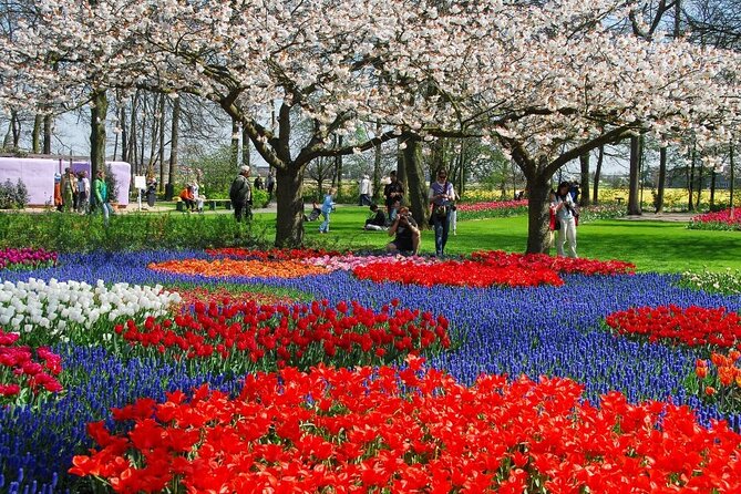 Amsterdam: Day trip to Tulip Farm, Keukenhof + Windmill Cruise - Who gets the most value from this tour