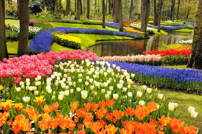 Amsterdam: Keukenhof and Zaanse Schans Windmills Guided Day Trip - Key points to know before booking
