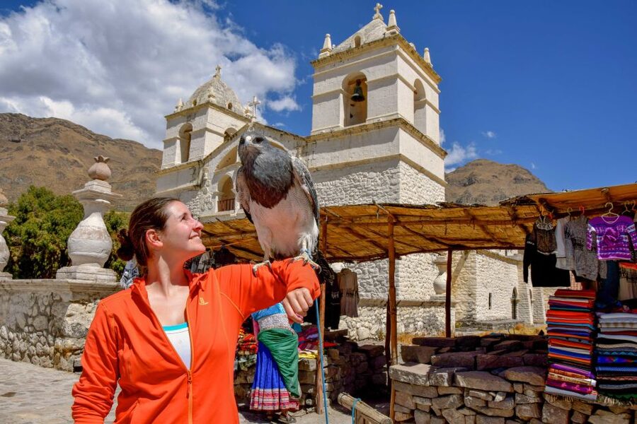 Andes: Colca Canyon Day-Trip - Why This Day Trip Works From Arequipa