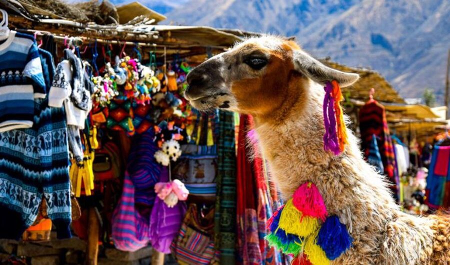 Andes: Colca Canyon Day-Trip - Patapampa at 4,800 Meters