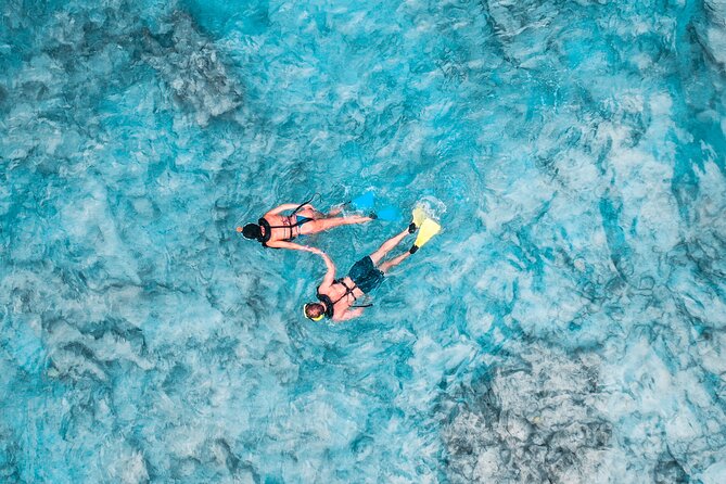 Aruba De Palm Island All-Inclusive Day Trip with Transport - Snorkeling and the rocky shoreline