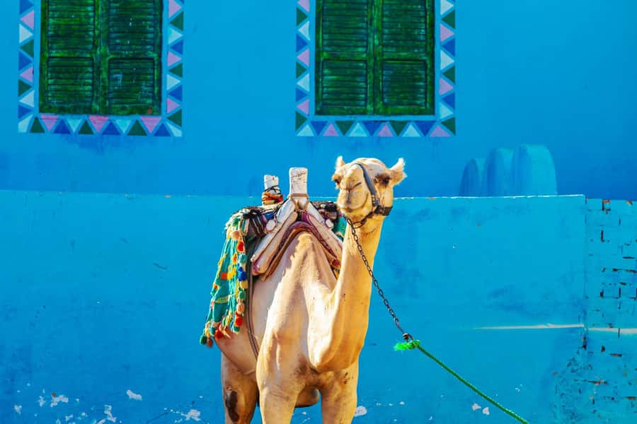 Aswan: Nubian Village Day Trip with Camel Ride - Why Nubian Village is worth adding to an Aswan stay