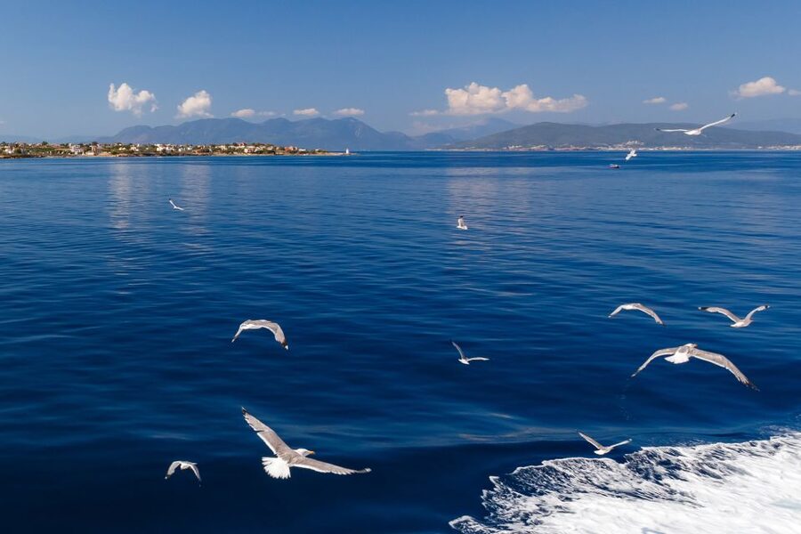 Athens: Guided Day Trip to Aegina Island with Swimming - Athena Aphaia and the ancient Greek chapter