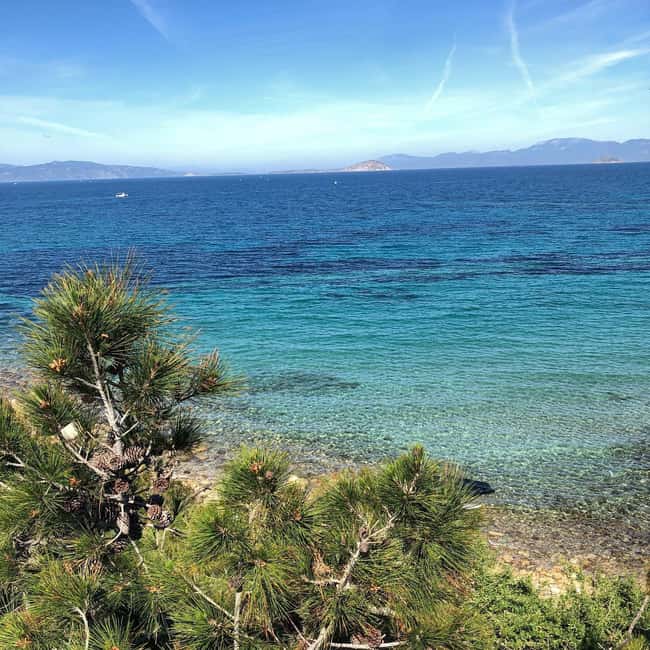 Athens to Aegina: Greek Island Escape & Swim Day Trip - The Temple of Athena Aphaia in half an hour