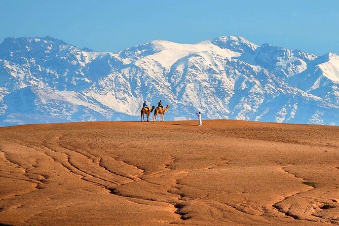 Atlas Mountains and Three Valleys & Waterfalls - Villages Marrakech Day Trip - Timing, fitness, and what to bring