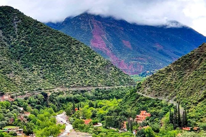 Atlas Mountains & Ourika Valley Private Day Trip From Marrakech - The camel ride and possible argan cooperative stop