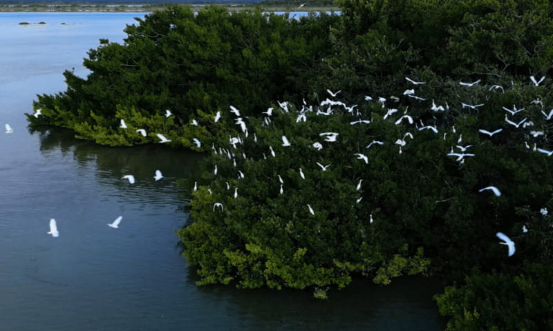 Bacalar: Lagoon, Pirate Canal, Stromatolite Day Trip w/Lunch - The Pirate Canal and its old legends