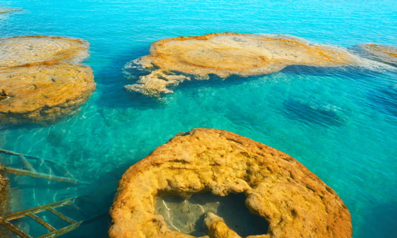 Bacalar: Lagoon, Pirate Canal, Stromatolite Day Trip w/Lunch - Cenote Negro and the seven-color lagoon