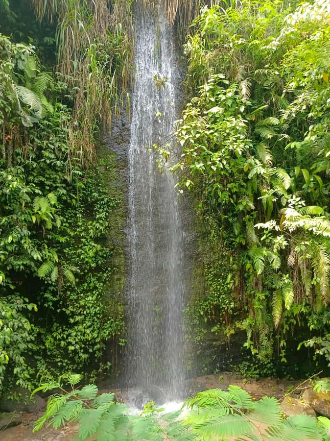 Bali : Day Trip to Besakih Temple & 2 Hidden Waterfalls - Key things to know before you book