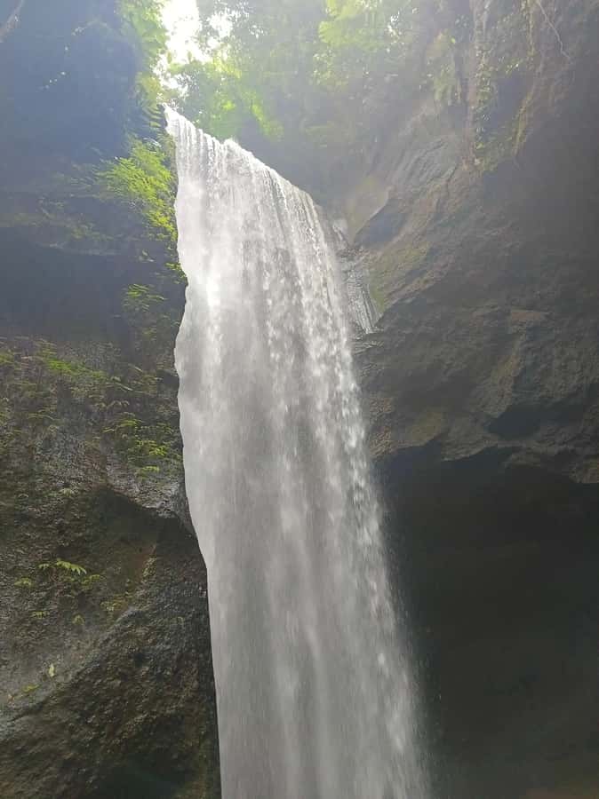 Bali : Day Trip to Besakih Temple & 2 Hidden Waterfalls - A long eastern Bali day from your hotel