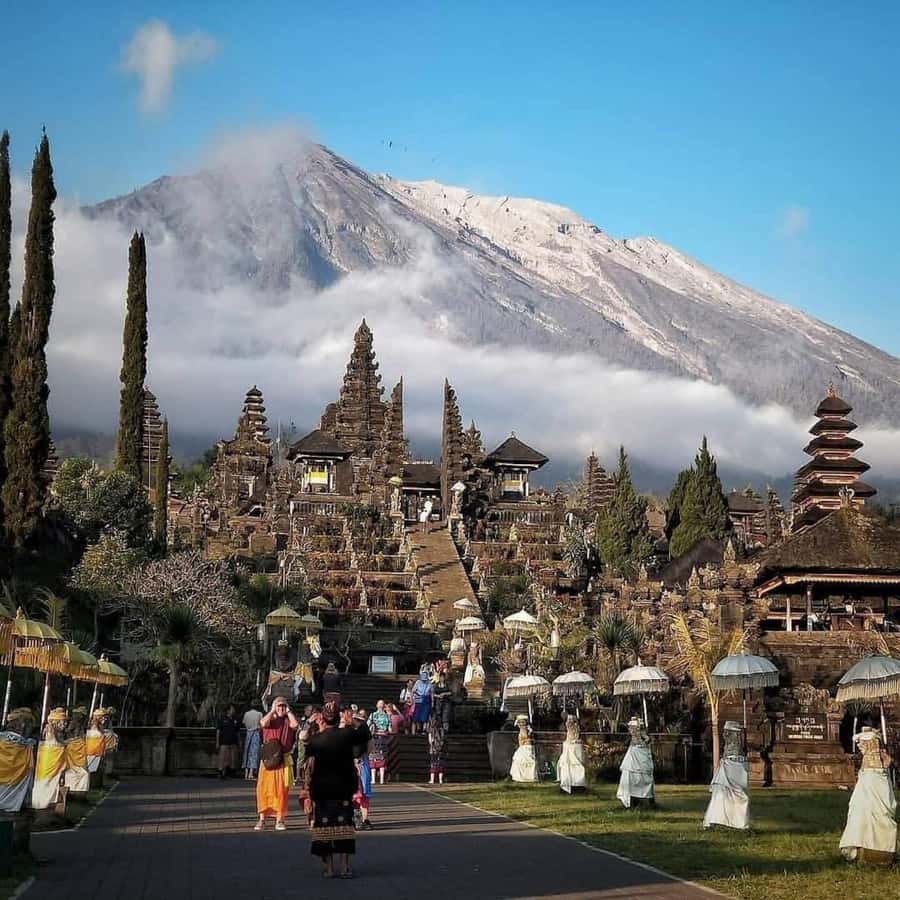 Bali : Day Trip to Besakih Temple & 2 Hidden Waterfalls - Lunch near the rice fields