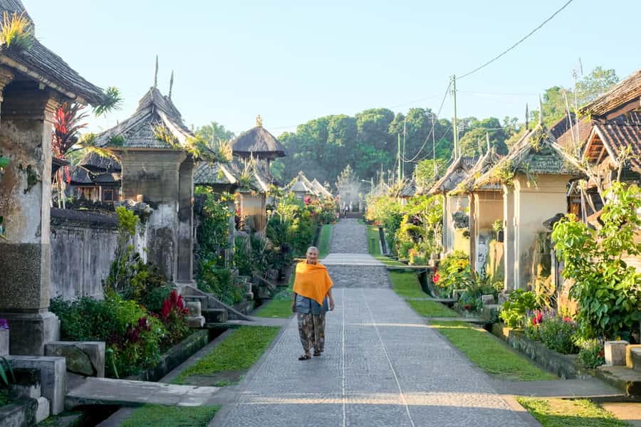 Bali: Full-Day Trip to Penglipuran Village and Bamboo Forest - Key points at a glance