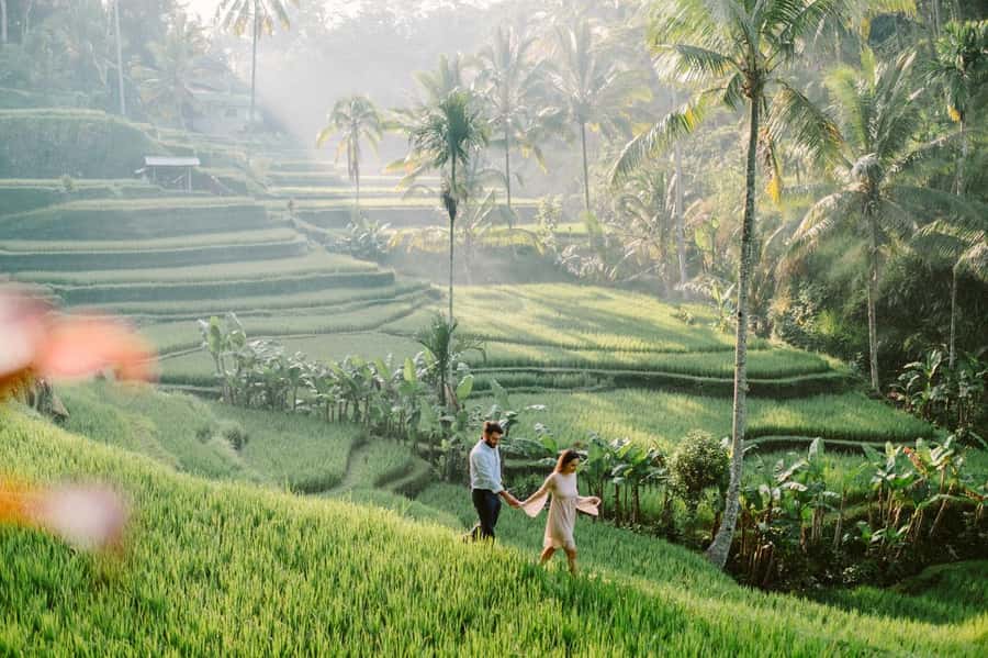 Bali: Full-Day Trip to Penglipuran Village and Bamboo Forest - Tirta Empul Temple and sacred spring water