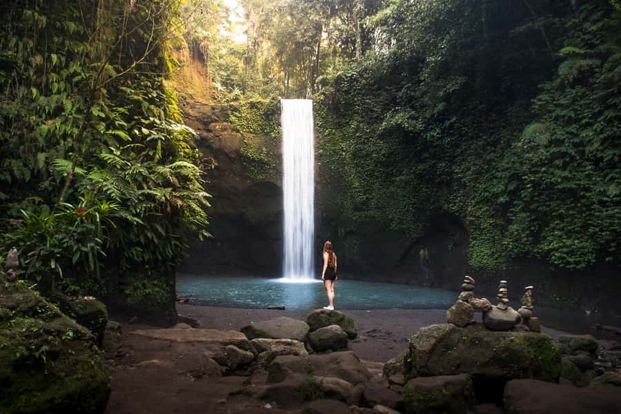 Bali: Full-Day Trip to Penglipuran Village and Bamboo Forest - Rice terraces: a scenic opening stop