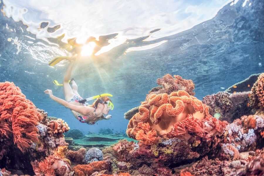 Bali: Padangbai Blue Lagoon Snorkeling Day Trip - Who should book it?