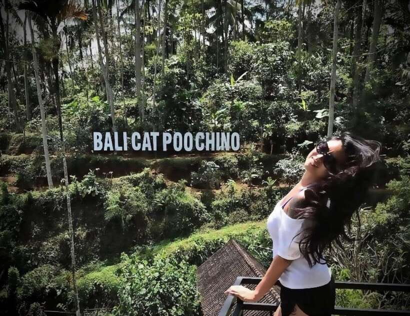 Bali: Private Full day trip Customizable tour - Transport, pickup, and the $41 price