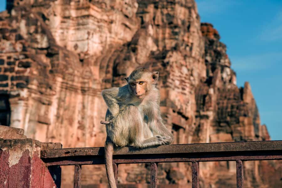 Bangkok: Ayutthaya & Lopburi Monkey Temple Private Day Trip - Why combine Ayutthaya with Lopburi?