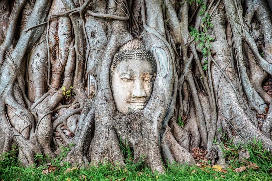 Bangkok: Ayutthaya & Lopburi Monkey Temple Private Day Trip - Phra Prang Sam Yod and the monkey encounter
